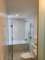Cairnhill Residences (D9), Apartment #534375601